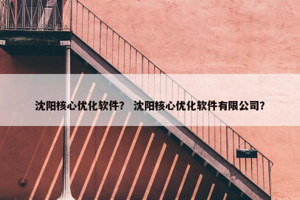沈阳核心优化软件？ 沈阳核心优化软件有限公司？