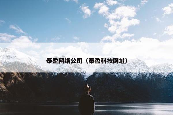 泰盈网络公司（泰盈科技网址）