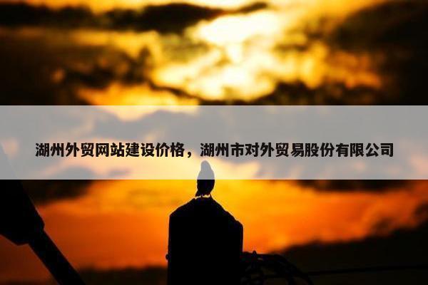 湖州外贸网站建设价格，湖州市对外贸易股份有限公司