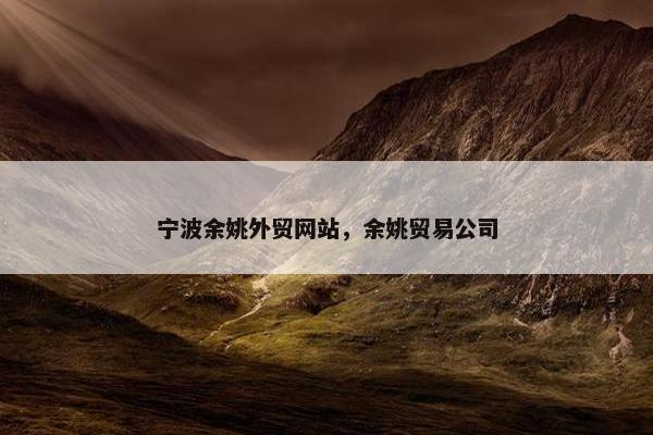 宁波余姚外贸网站，余姚贸易公司