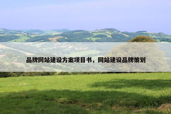 品牌网站建设方案项目书，网站建设品牌策划