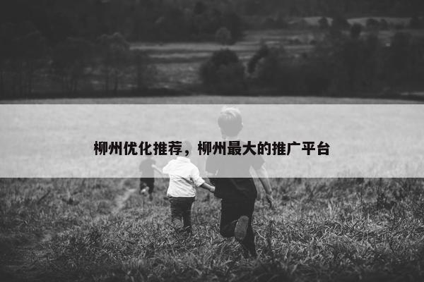 柳州优化推荐，柳州最大的推广平台