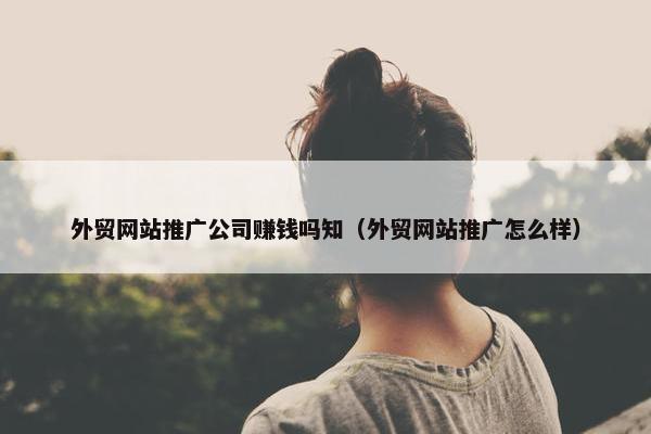 外贸网站推广公司赚钱吗知（外贸网站推广怎么样）