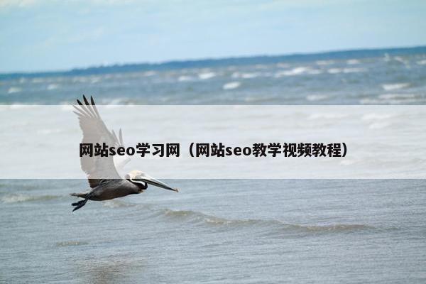 网站seo学习网（网站seo教学视频教程）