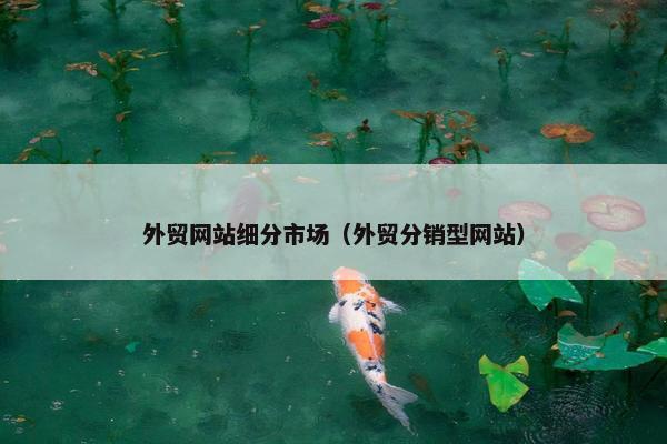 外贸网站细分市场（外贸分销型网站）