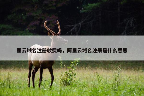 里云域名注册收费吗，阿里云域名注册是什么意思