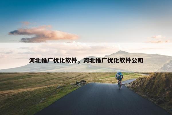 河北推广优化软件，河北推广优化软件公司
