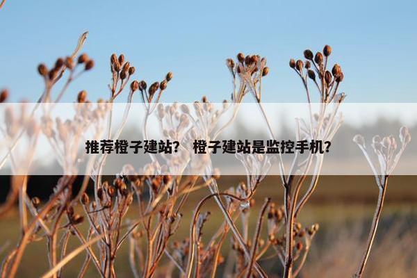 推荐橙子建站？ 橙子建站是监控手机？