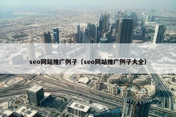 seo网站推广例子（seo网站推广例子大全）