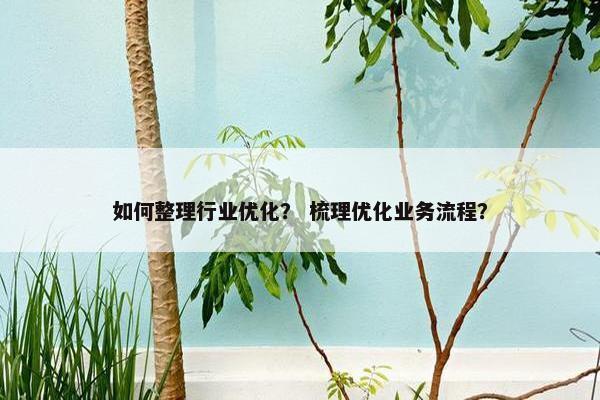 如何整理行业优化？ 梳理优化业务流程？