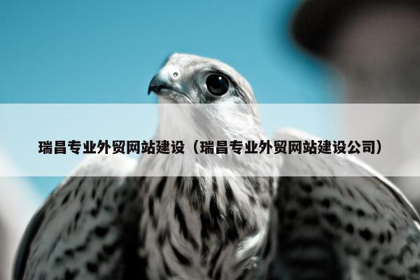 瑞昌专业外贸网站建设（瑞昌专业外贸网站建设公司）