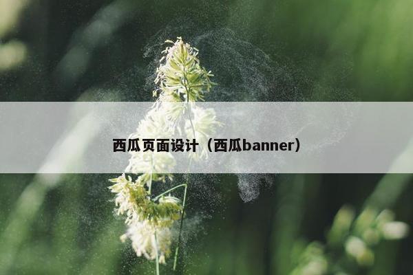 西瓜页面设计（西瓜banner）