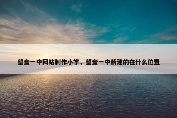 望奎一中网站制作小学，望奎一中新建的在什么位置