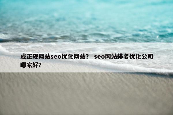 成正规网站seo优化网站？ seo网站排名优化公司哪家好？