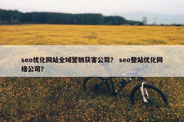 seo优化网站全域营销获客公司？ seo整站优化网络公司？
