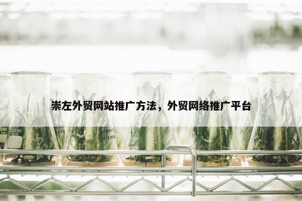 崇左外贸网站推广方法，外贸网络推广平台