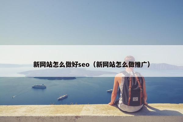新网站怎么做好seo（新网站怎么做推广）