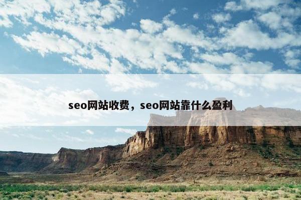 seo网站收费，seo网站靠什么盈利