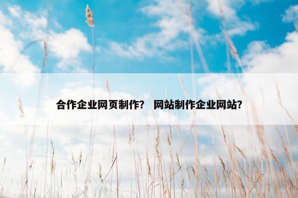合作企业网页制作？ 网站制作企业网站？