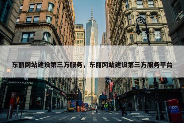 东丽网站建设第三方服务，东丽网站建设第三方服务平台