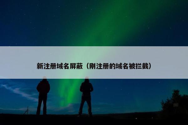 新注册域名屏蔽（刚注册的域名被拦截）