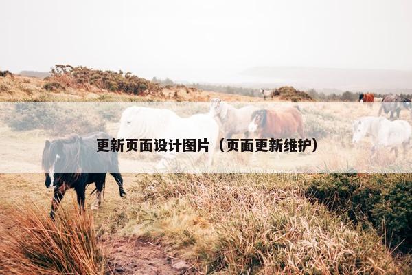 更新页面设计图片（页面更新维护）