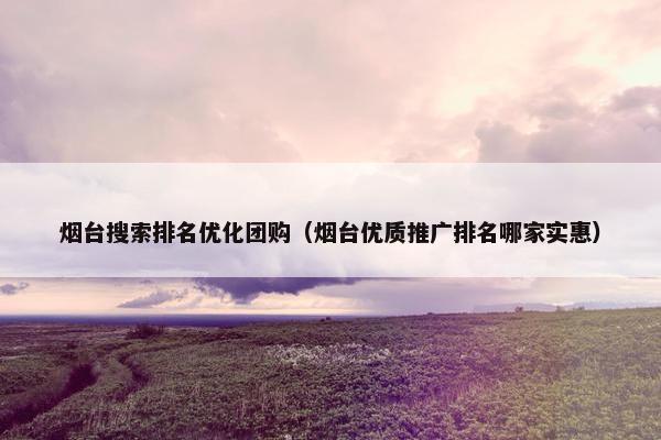 烟台搜索排名优化团购（烟台优质推广排名哪家实惠）
