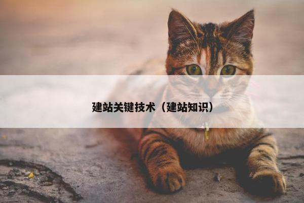 建站关键技术（建站知识）