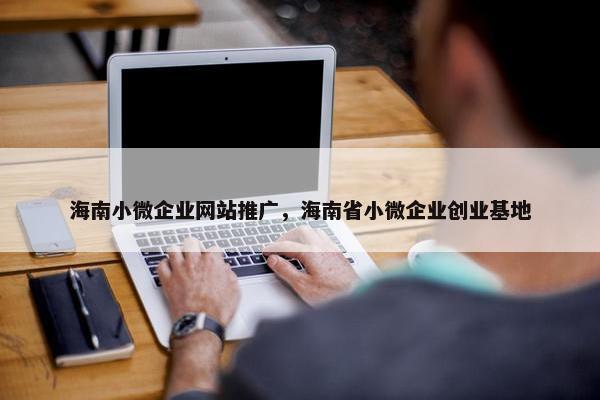 海南小微企业网站推广，海南省小微企业创业基地