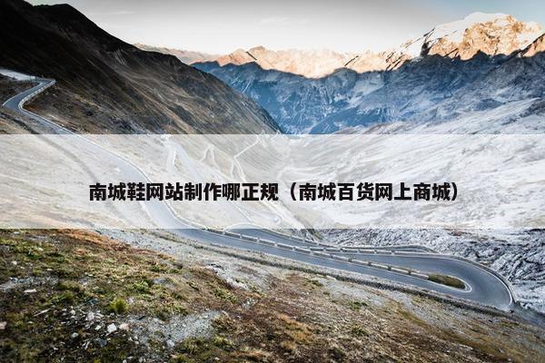 南城鞋网站制作哪正规（南城百货网上商城）