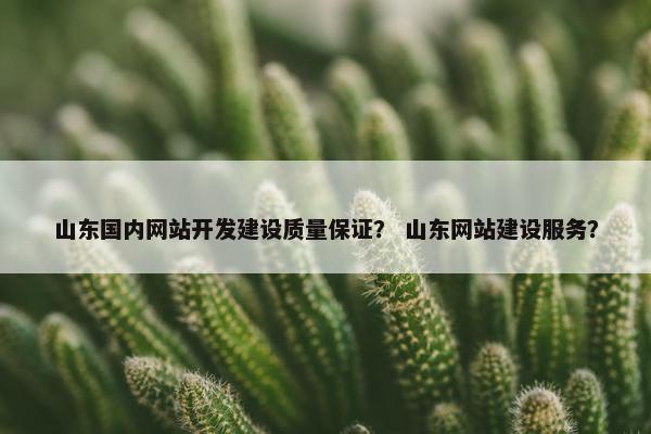 山东国内网站开发建设质量保证？ 山东网站建设服务？