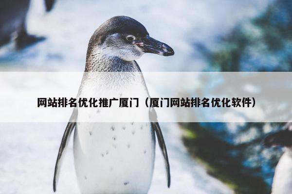 网站排名优化推广厦门（厦门网站排名优化软件）