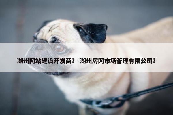 湖州网站建设开发商？ 湖州房网市场管理有限公司？