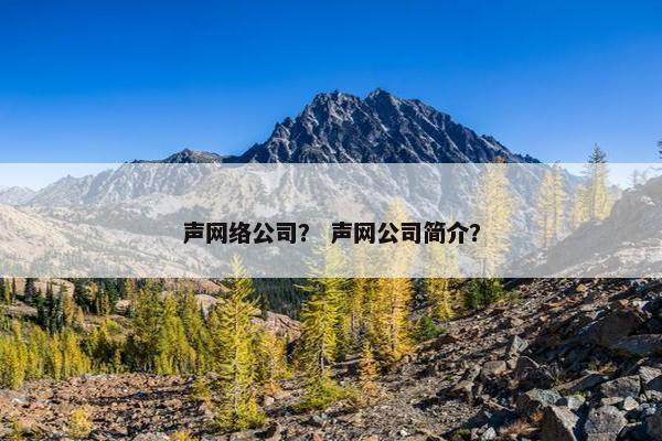 声网络公司？ 声网公司简介？