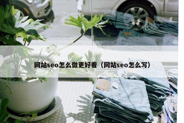 网站seo怎么做更好看（网站seo怎么写）