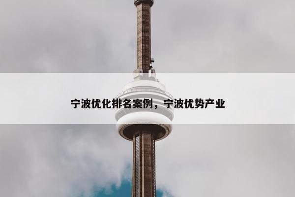 宁波优化排名案例，宁波优势产业