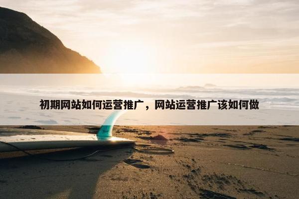 初期网站如何运营推广，网站运营推广该如何做