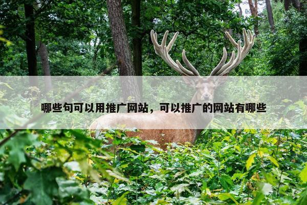 哪些句可以用推广网站，可以推广的网站有哪些