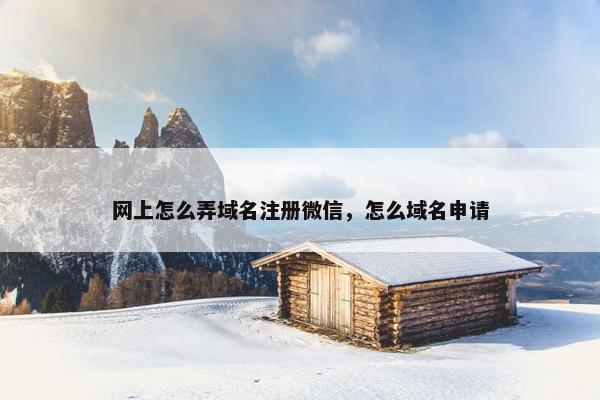 网上怎么弄域名注册微信，怎么域名申请