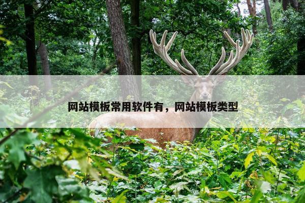 网站模板常用软件有，网站模板类型