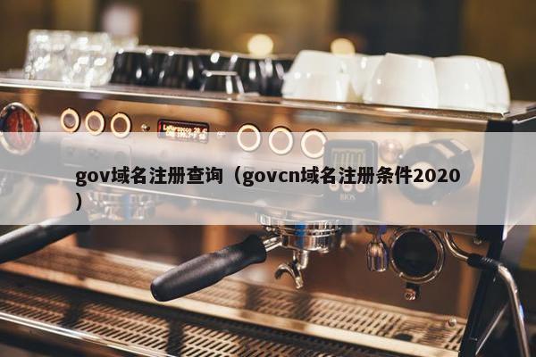 gov域名注册查询（govcn域名注册条件2020）