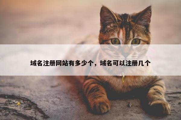域名注册网站有多少个，域名可以注册几个