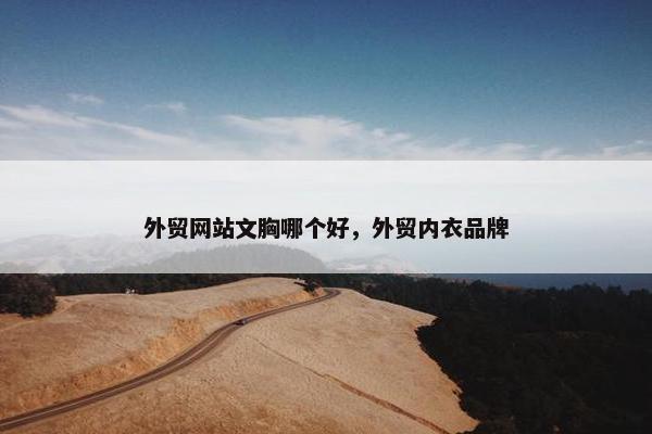 外贸网站文胸哪个好，外贸内衣品牌