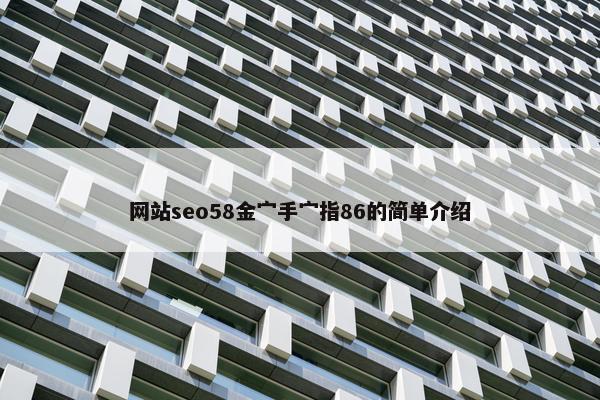 网站seo58金宀手宀指86的简单介绍