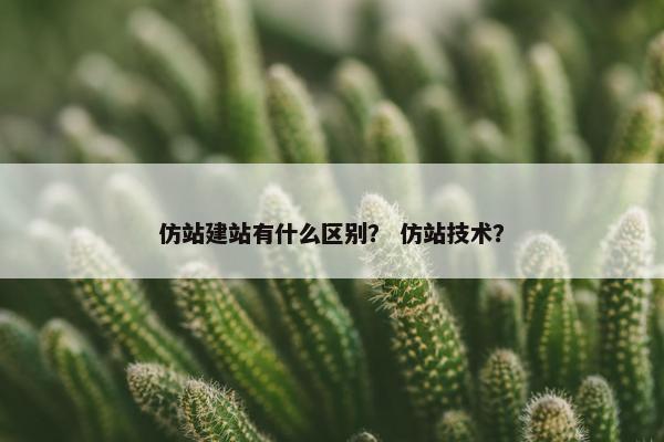 仿站建站有什么区别？ 仿站技术？