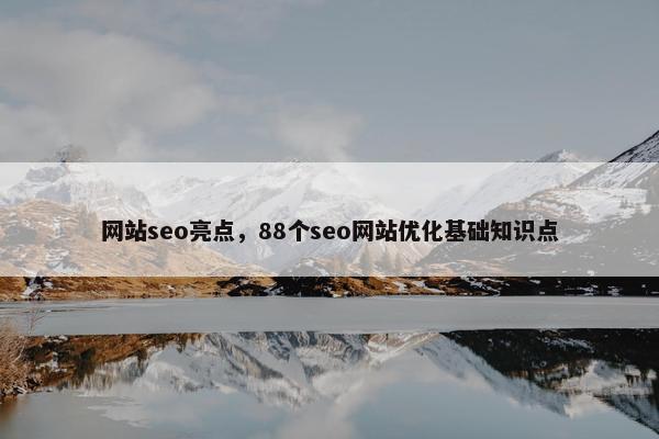 网站seo亮点，88个seo网站优化基础知识点