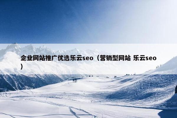 企业网站推广优选乐云seo（营销型网站 乐云seo）