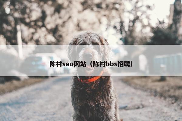 陈村seo网站（陈村bbs招聘）