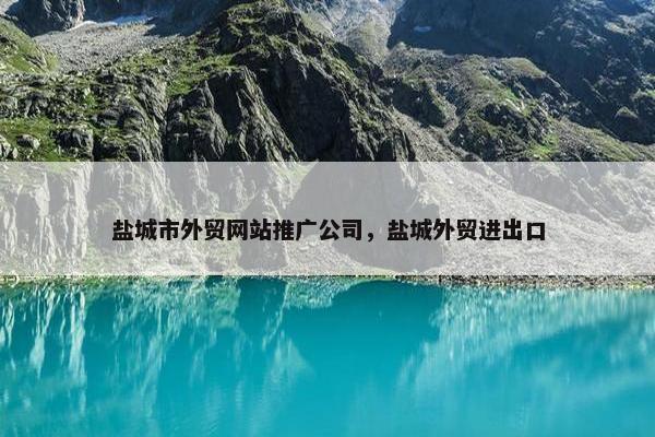盐城市外贸网站推广公司，盐城外贸进出口
