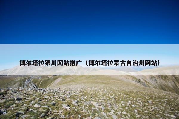 博尔塔拉银川网站推广（博尔塔拉蒙古自治州网站）
